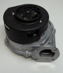 r10027051